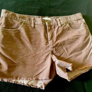 Carve Designs corduroy Oahu shorts